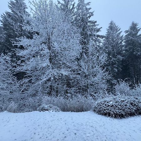 Apartment Maja Unmittelbar An Der Skipiste Winterberg Dış mekan fotoğraf