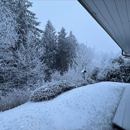 Apartment Maja Unmittelbar An Der Skipiste Winterberg Dış mekan fotoğraf