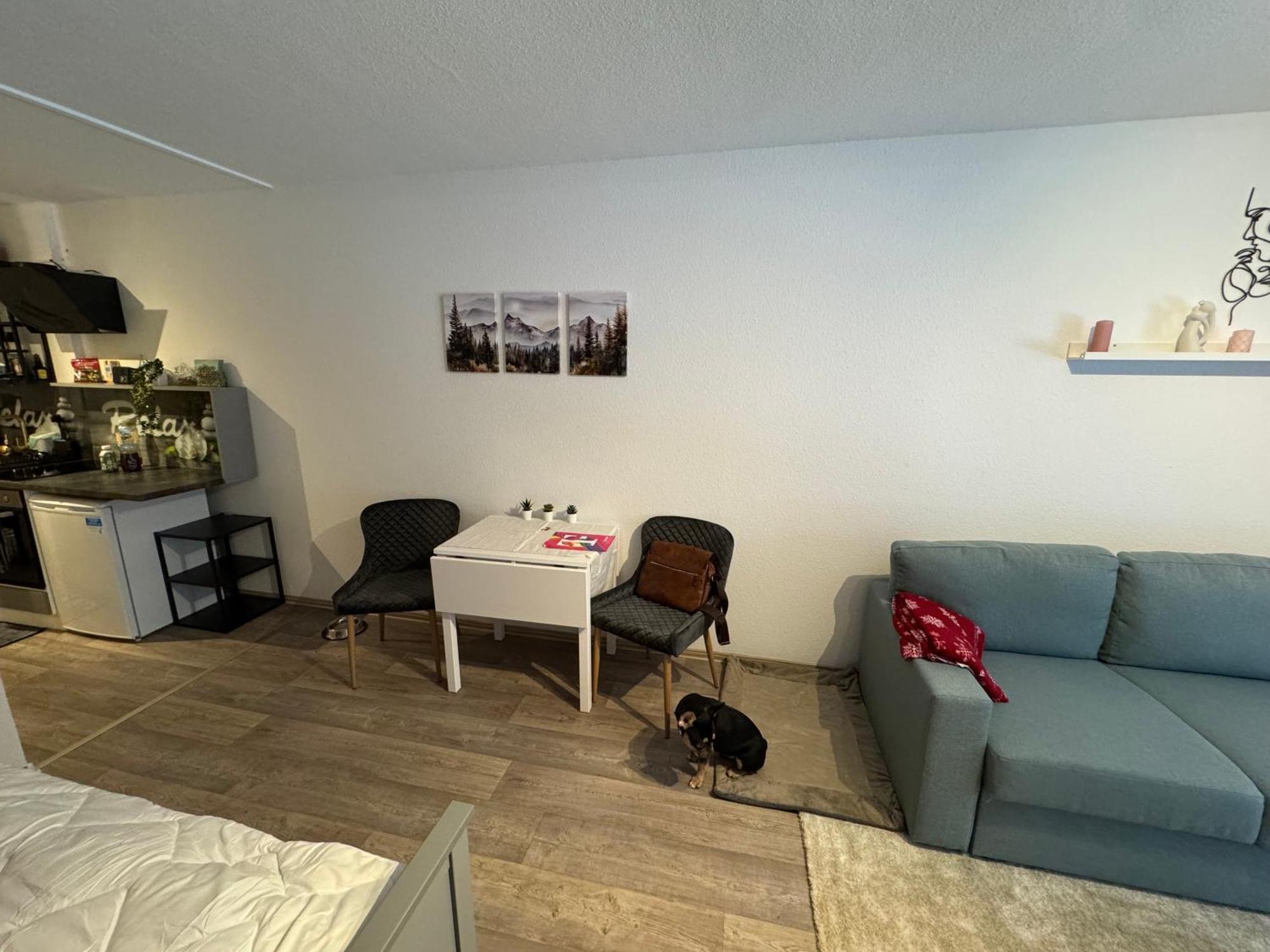 Apartment Maja Unmittelbar An Der Skipiste Winterberg Dış mekan fotoğraf