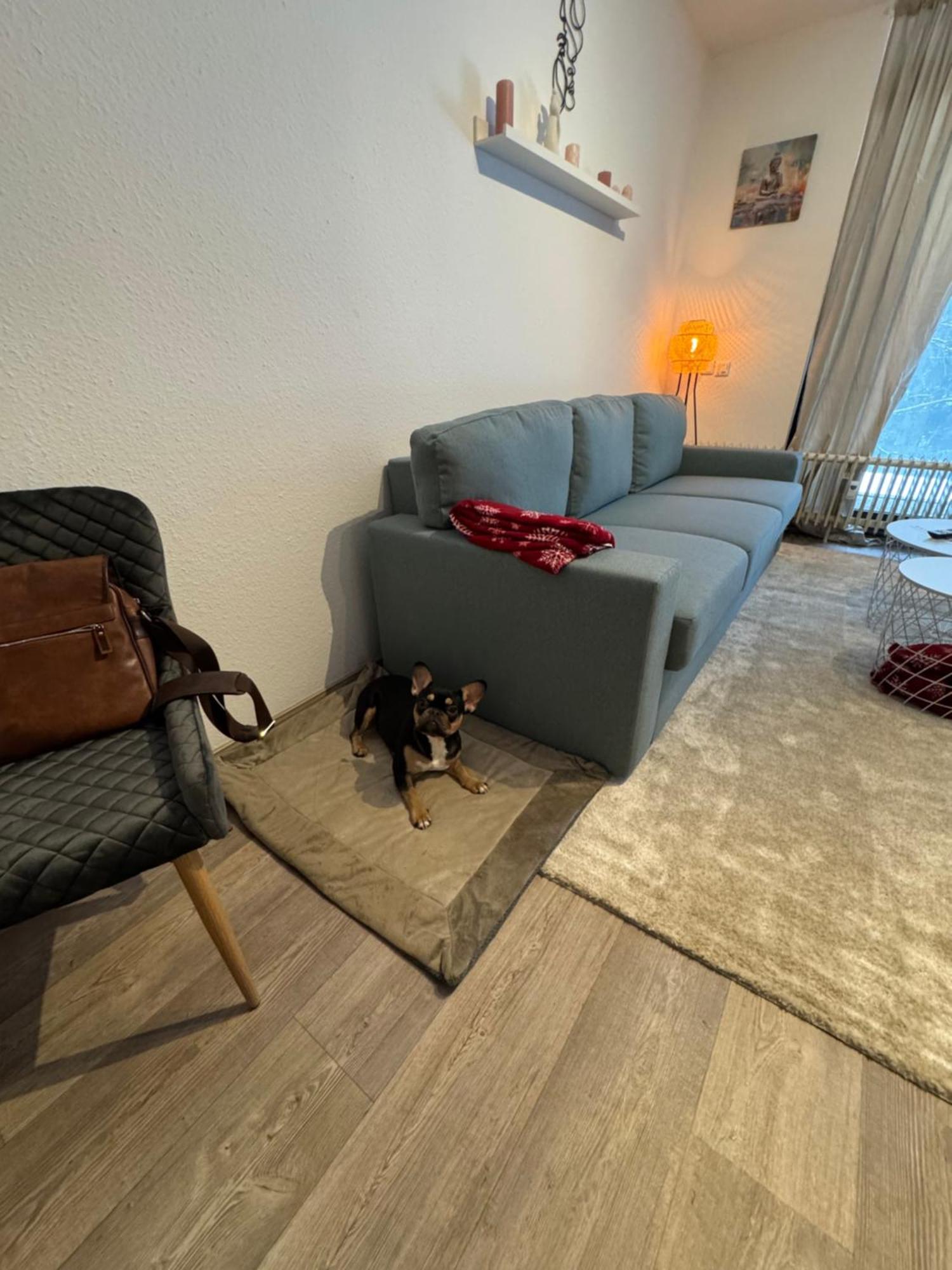 Apartment Maja Unmittelbar An Der Skipiste Winterberg Dış mekan fotoğraf