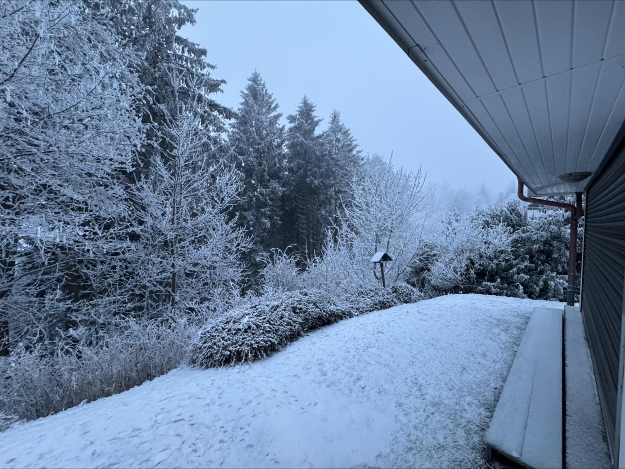 Apartment Maja Unmittelbar An Der Skipiste Winterberg Dış mekan fotoğraf
