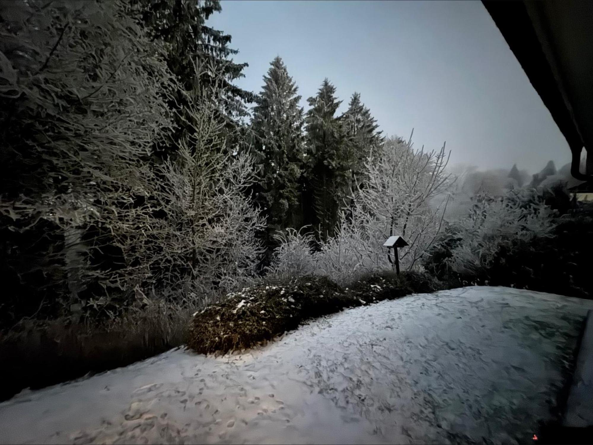Apartment Maja Unmittelbar An Der Skipiste Winterberg Dış mekan fotoğraf