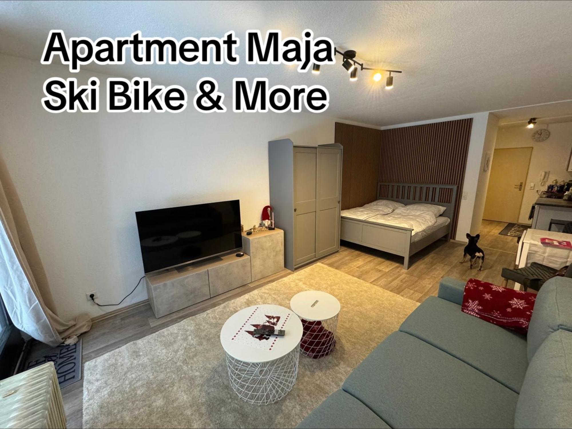 Apartment Maja Unmittelbar An Der Skipiste Winterberg Dış mekan fotoğraf